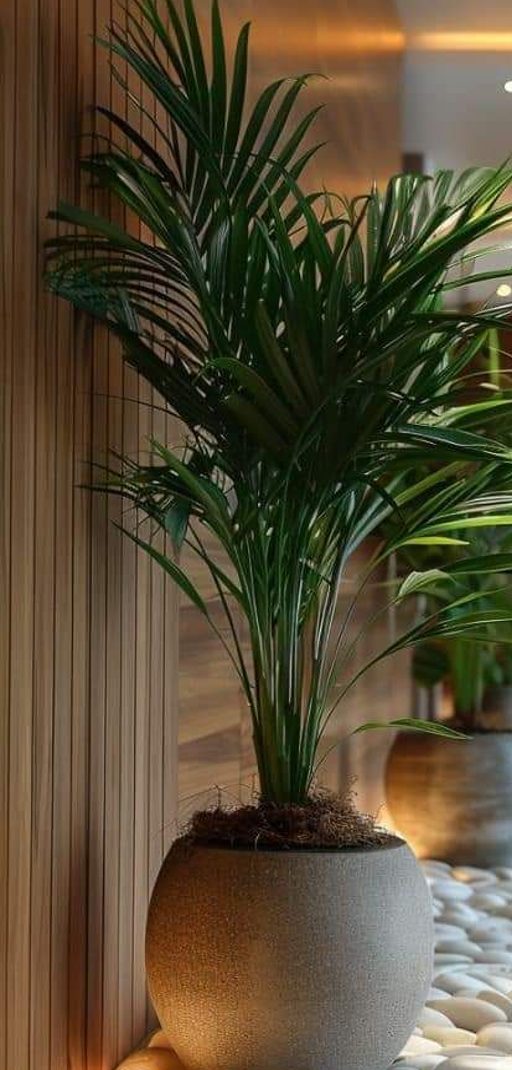 A palm in a stone planter against fluted timber panelling