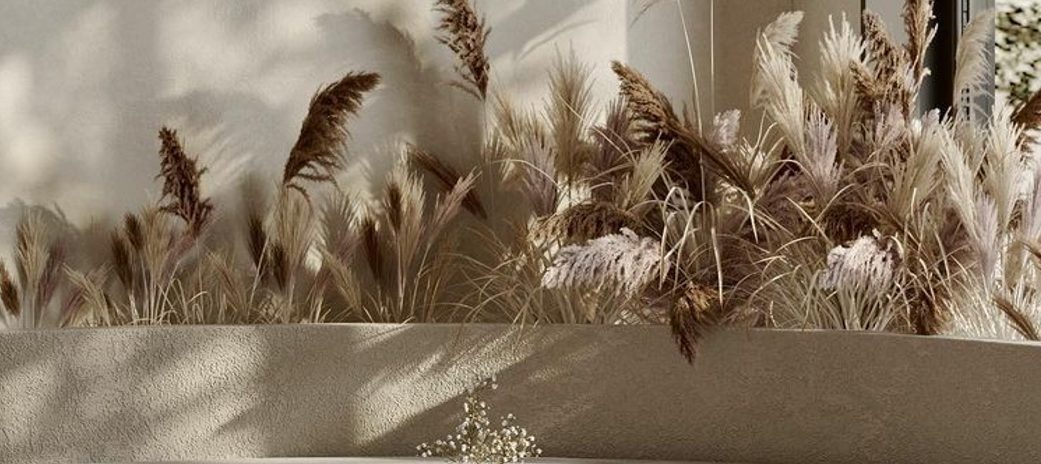 Dried grasses in a sculpted plaster planter